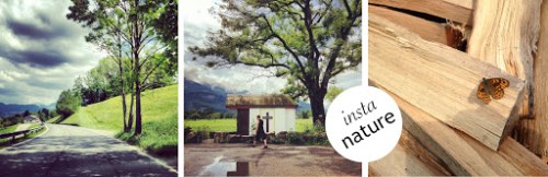 ERGOThek ... Über den JUNI